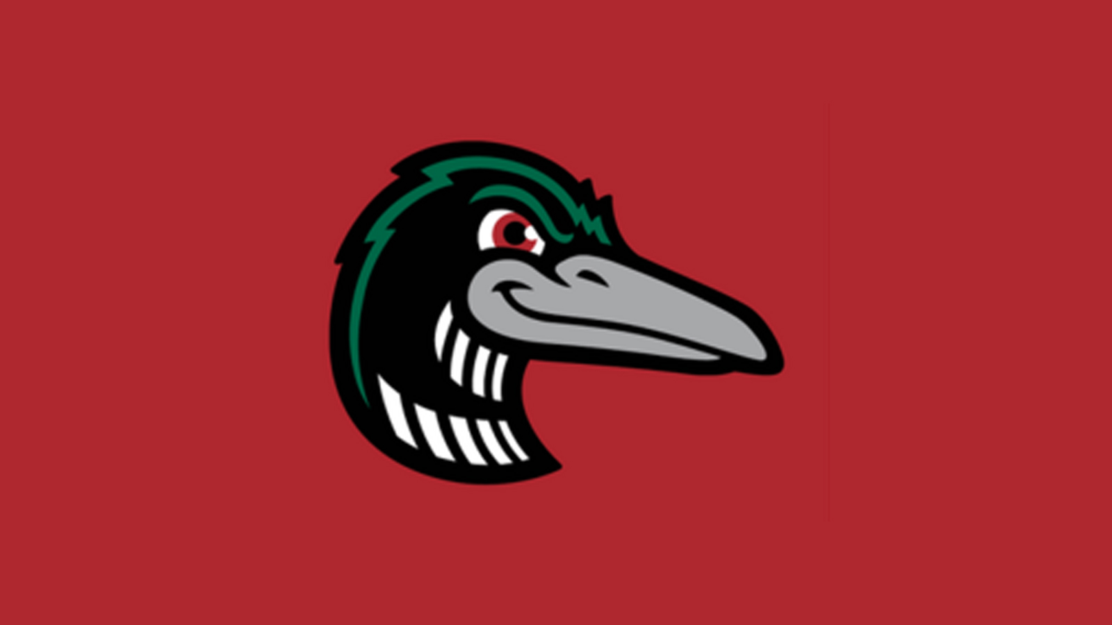 Loons logo