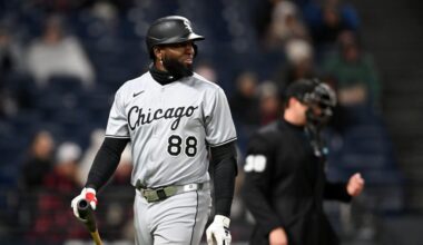 Which Team Should Roll the Dice on Luis Robert Jr.?