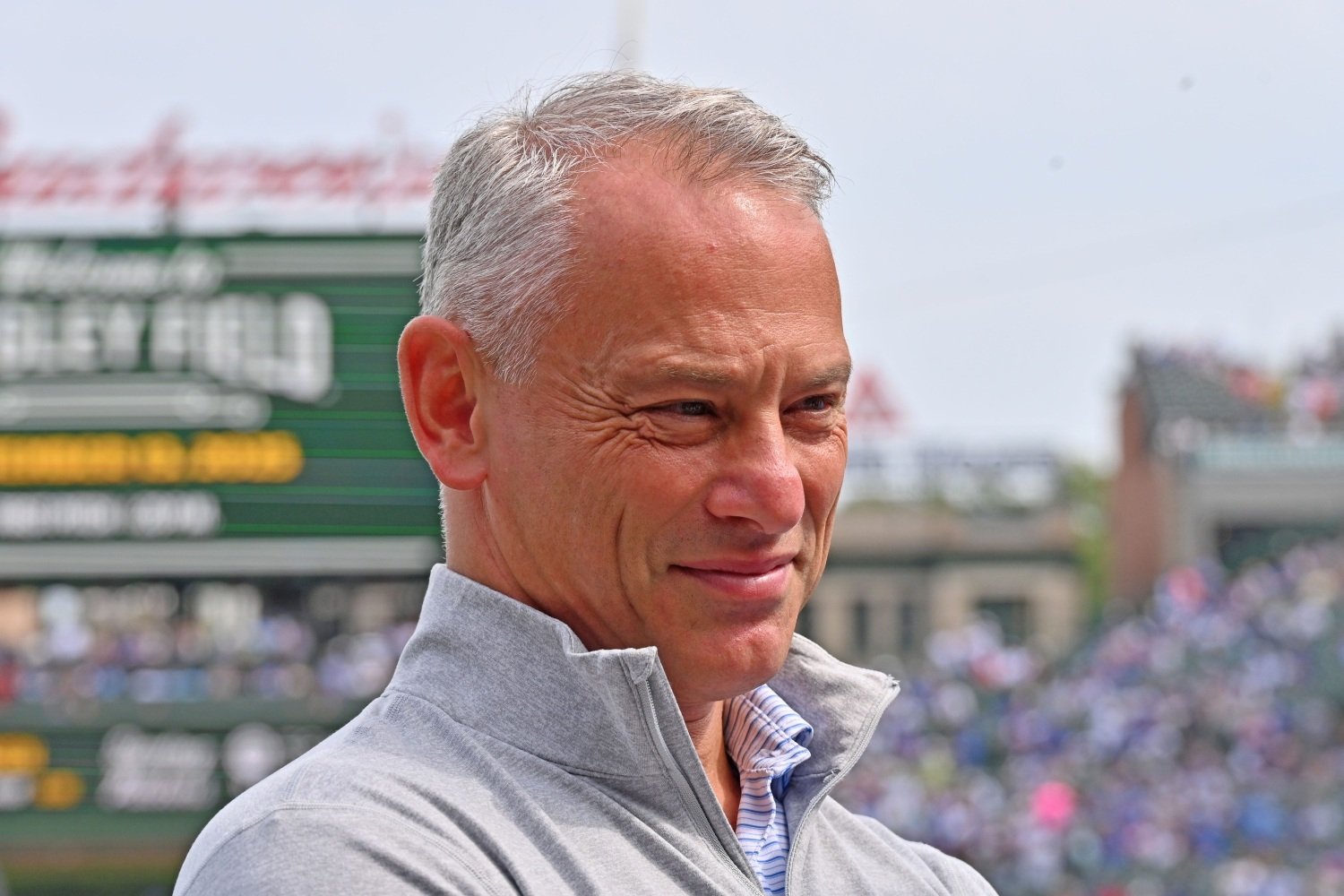 A Full Roster Taxonomy for the Cubs After a Busy Week - Cubs