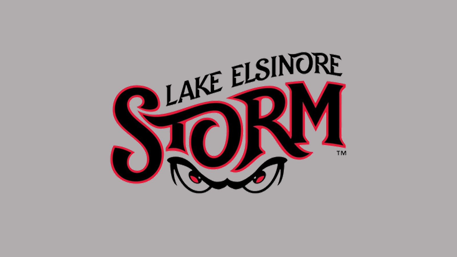 Storm logo