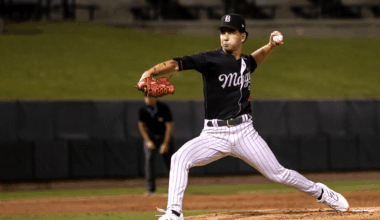 2026 South Side Sox Prospect Vote: Round 29