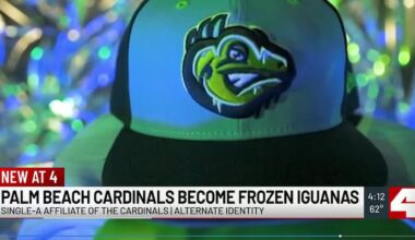 Cardinals minor league affiliate to rebrand as Frozen Iguanas