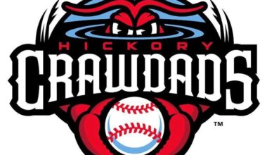 Hickory Crawdads logo