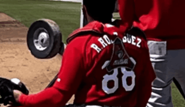 The St. Louis Cardinals are building a nice farm system pipeline