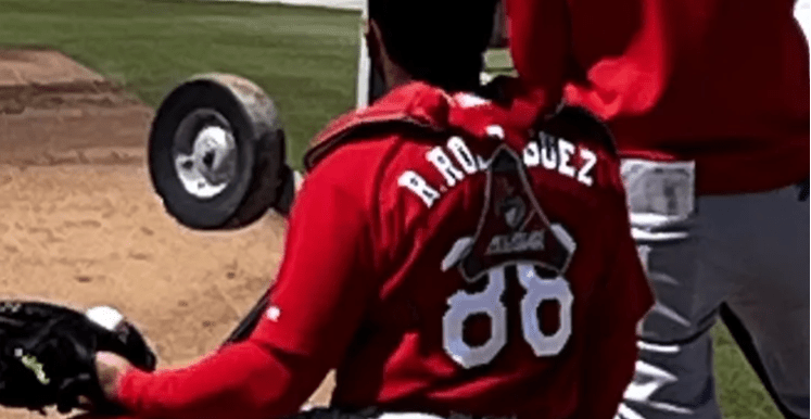 The St. Louis Cardinals are building a nice farm system pipeline