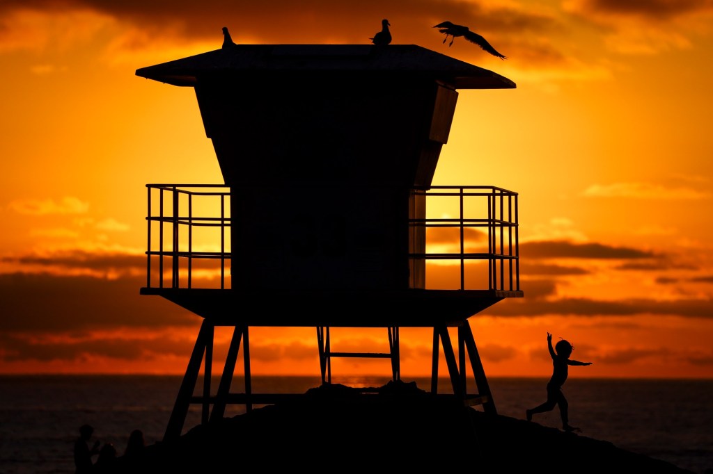 2025 pictures of the year by Meg McLaughlin – San Diego Union-Tribune