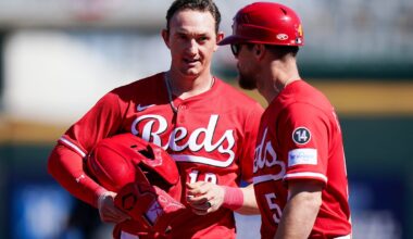 What Does Austin Hays Bring to the Chicago White Sox?