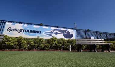 Blue Jays release catching prospect Luis Meza and others