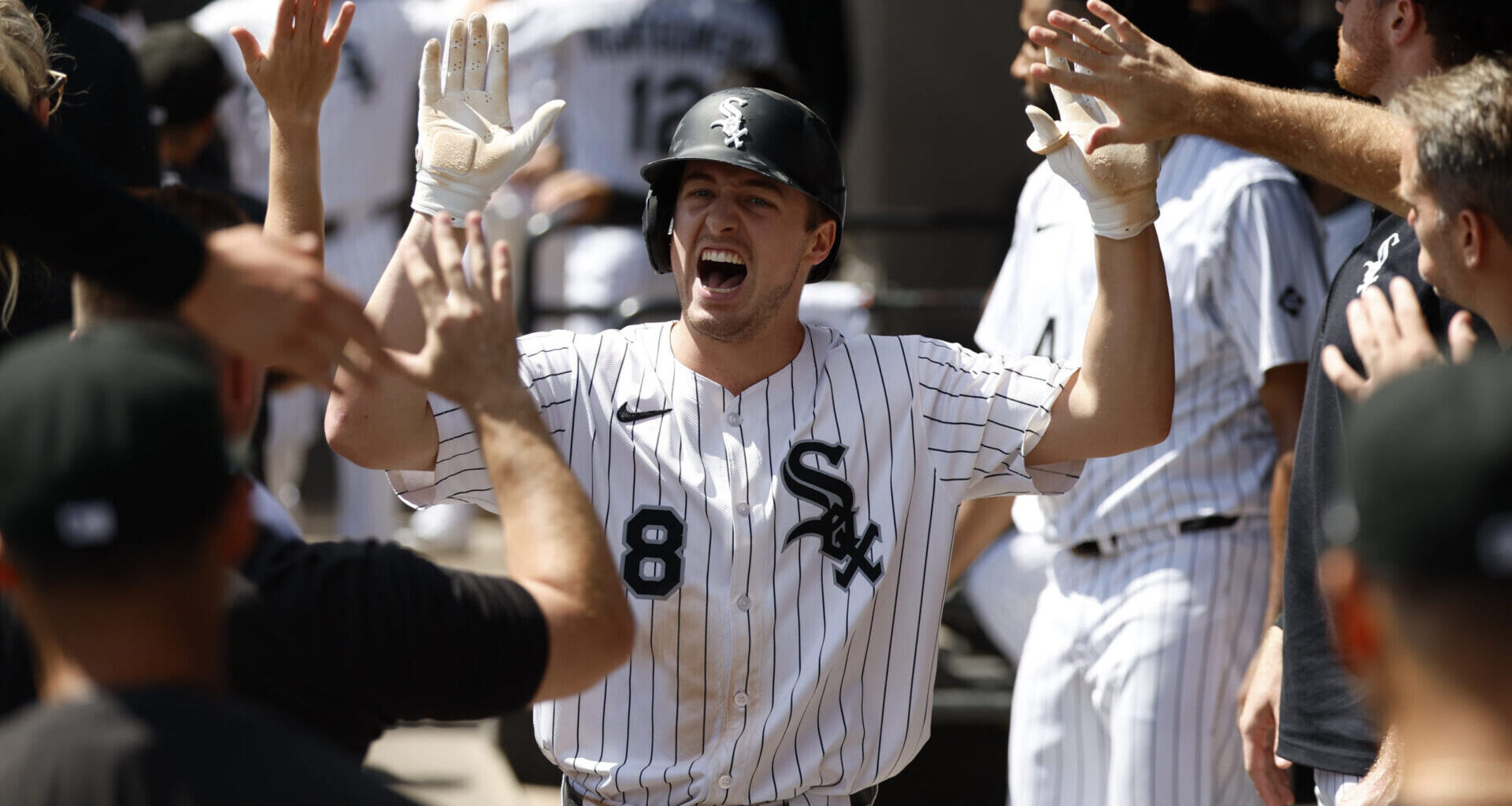 White Sox players set to compete in World Baseball Classic