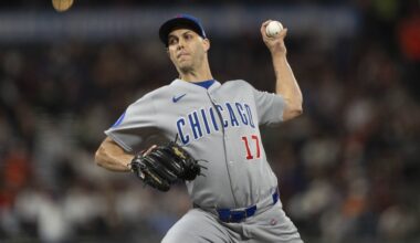 Taylor Rogers Can Follow Caleb Thielbar's Blueprint