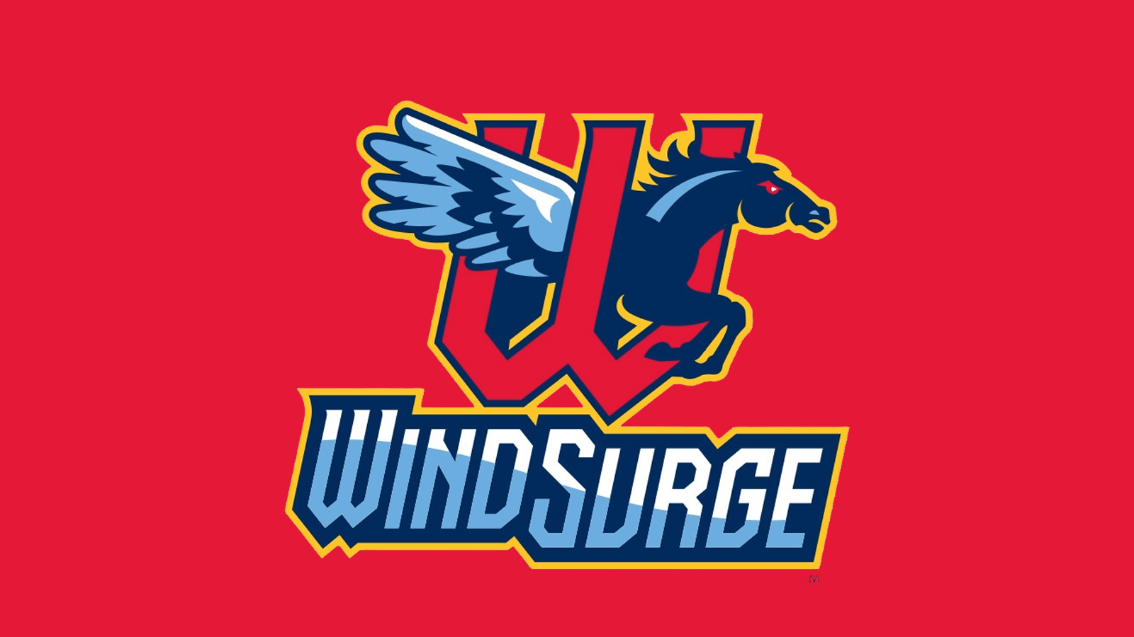 Wind Surge logo