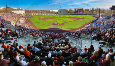 Nike Swoosh Logo White