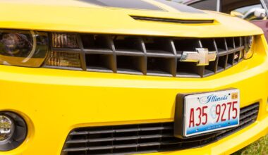 White Sox are big winners on Illinois roads