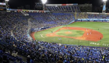 I went to a baseball game in Japan and it was amazing