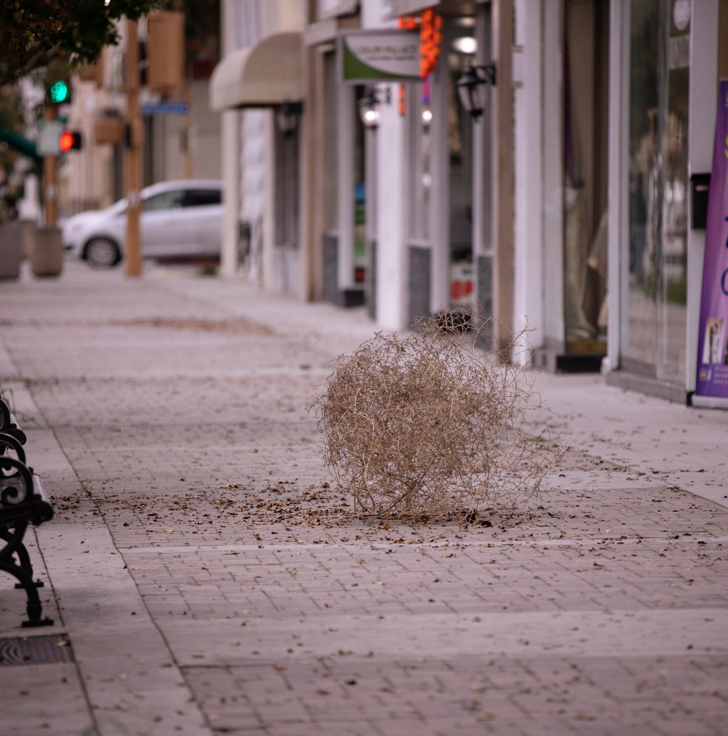 Monday Morning Texas Rangers Update