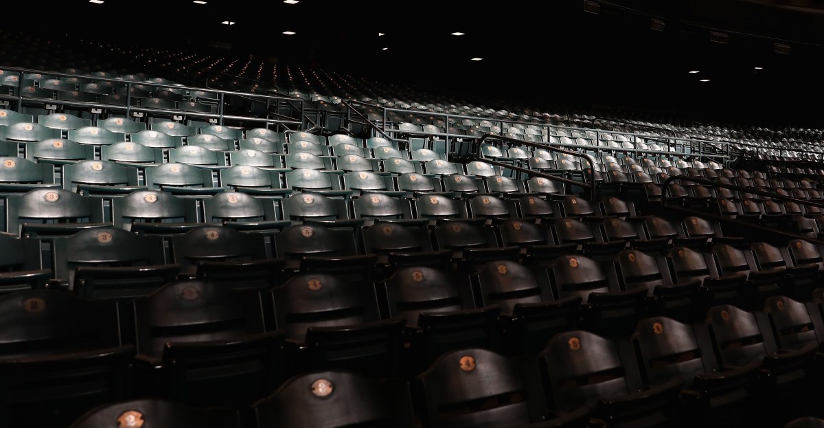 The popularity of baseball | AZ Snake Pit