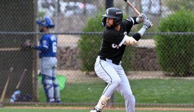 2026 South Side Sox Prospect Vote: Round 28