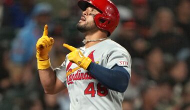 Designated Hitter: Injury Mitigator | Viva El Birdos