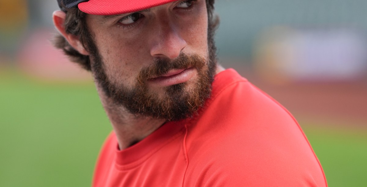 St Louis Cardinals Baseball: Do Total Bases Correlate More with Power or Speed?