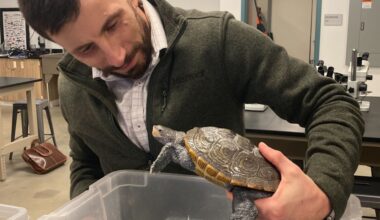 Arizona Diamondbacks news, 1/5: New Year, no new D-backs