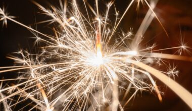 My New Year’s Resolution and Wishlist for the St. Louis Cardinals