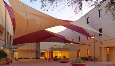 Rays Stadium News: HCC Dale Mabry site vote scheduled for Jan. 20th