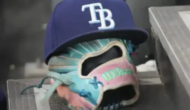 Rays Reveal Exciting New Stadium Plans