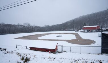 It’s a snow day here. What would you do baseball-related?