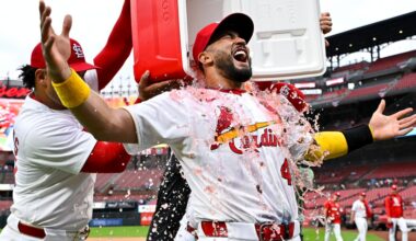 Checking in on the current Cardinals catching contingent