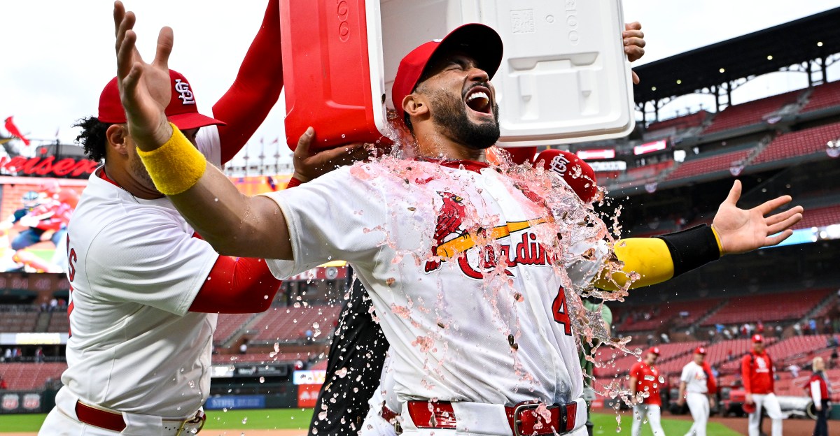 Checking in on the current Cardinals catching contingent