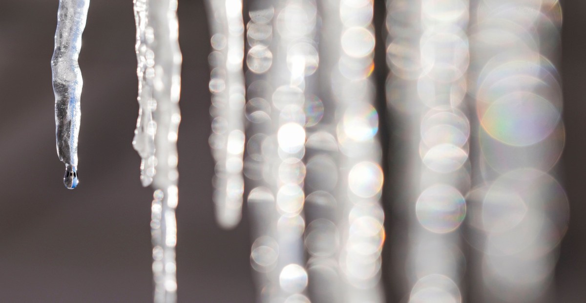 Texas Rangers News and Links - January 27