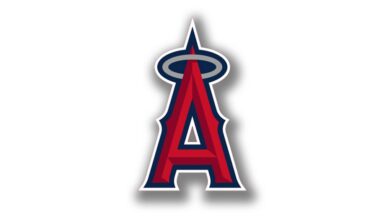 Angels ink Dominican shortstop Yeison Horton for $2 million – Orange County Register