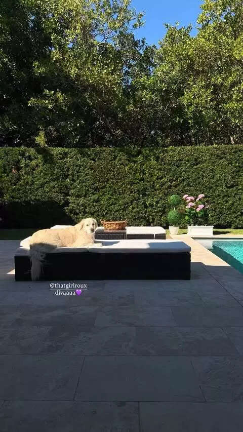 (Image via: Livvy Dunne's IG Story) Roux