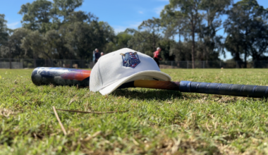 Youth baseball returns to Alva Fields after years-long absence