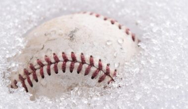 Perspective: Lessons learned from the Cubs Convention 2026