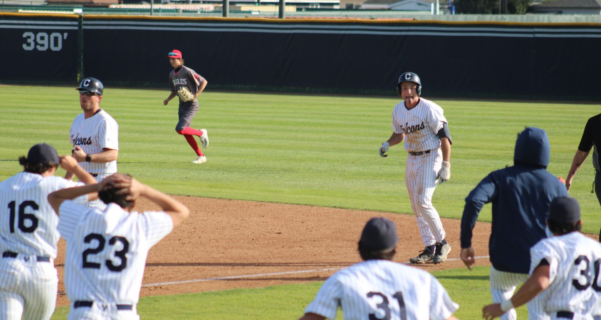 Falcons baseball walk-off in first home game, split series