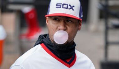 Whither Lenyn Sosa, White Sox?