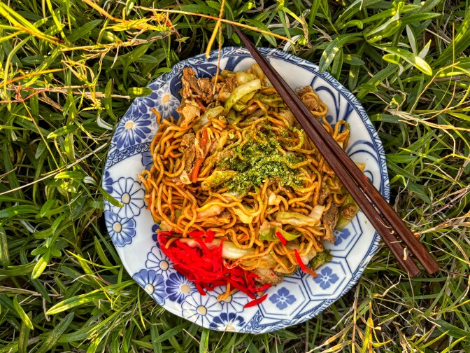A ceramic plate with blue and white floral designs sits against a green grass background. Inside the plate are light brown cooked noodles topped with light green seasoning and shredded dark red pickled ginger. Placed across the plate is a pair of dark brown wooden chopsticks.  