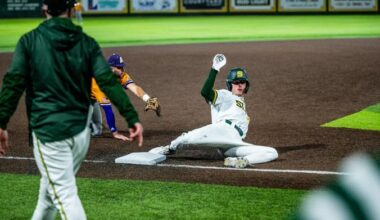 Williams Returns to Join Deep, Versatile Lion Outfield Corps