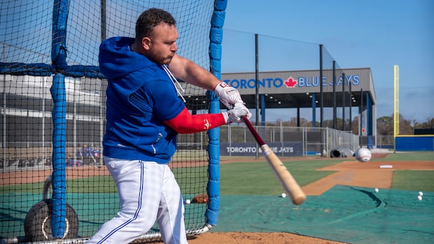 Schneider, Kirk to lead the way for Blue Jays to challenge umpire calls at home plate