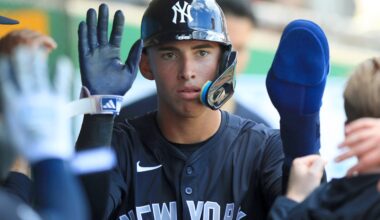 Who are the Yankees’ spring training NRI hitters?