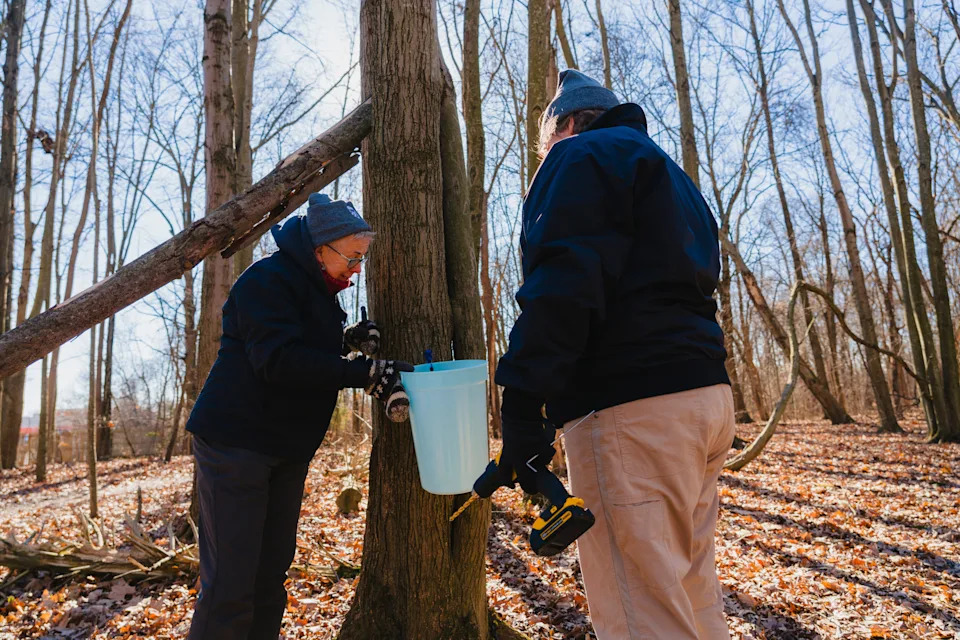 Great Parks Maple Sugar Days takes place Feb. 21-22.