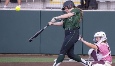 Lady Hornets ready to sting after down year | Sports