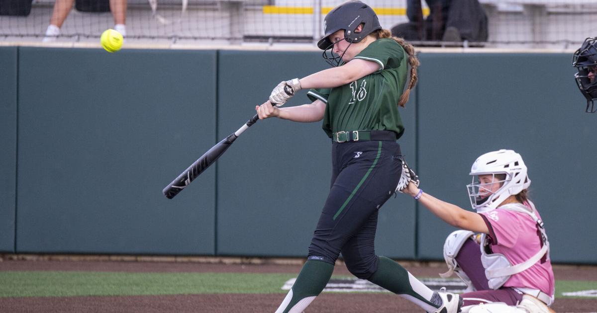 Lady Hornets ready to sting after down year | Sports