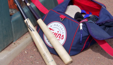 Hammond Stadium hosts Minnesota Twins vs. Golden Gophers exhibition | Sports