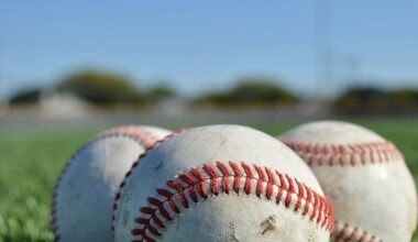 Summer college baseball team coming to Ottumwa for 2026 season