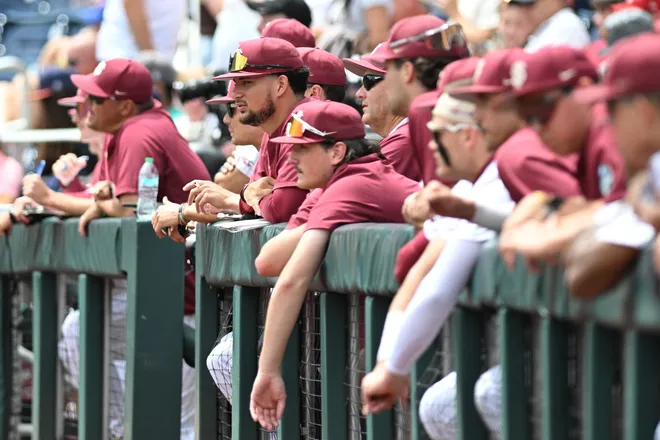 Jun 19, 2024; Omaha, NE, USA; The Florida State Seminoles bench watches action against the Tennessee Volunteers during the first inning at Charles Schwab Field Omaha. Mandatory Credit: Steven Branscombe-USA TODAY Sports