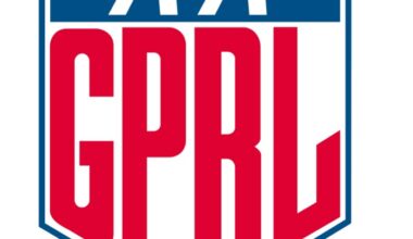 Mansfield native served as a pioneer in women's professional baseball league