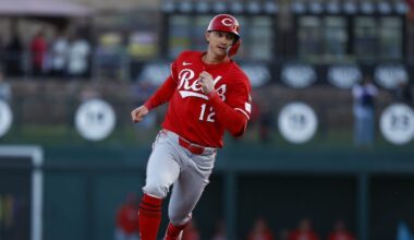 Austin Hays Gives the White Sox an Outfield Answer