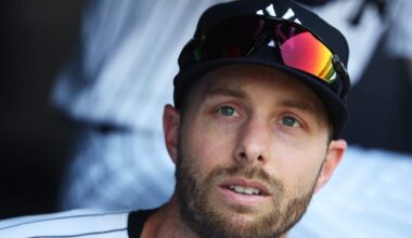 Tigers Sign Former Yankees Outfielder